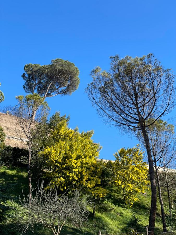 Vatican Green Holidays House Rom Exterior foto